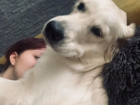 Bella